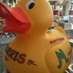 morrisons duck 2